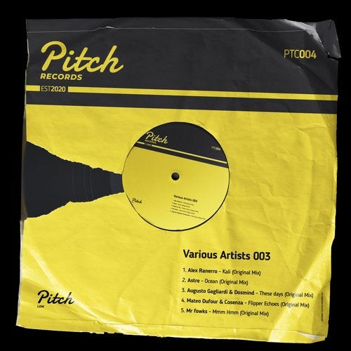 VA - Pitch Records VA 003 [PTC004]